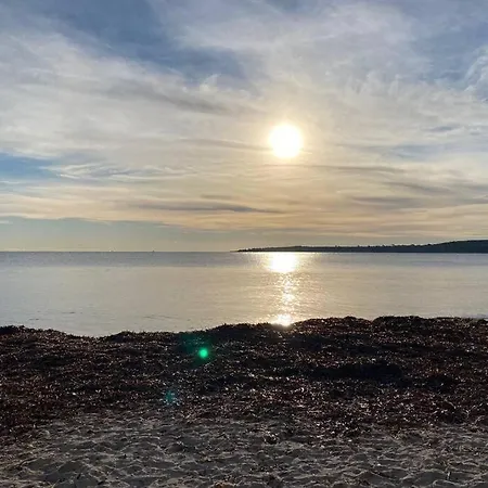 Del Mar Bord De Palm