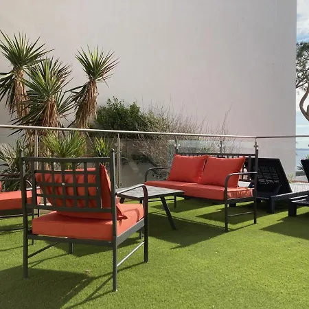 Del Mar Bord De Palm *