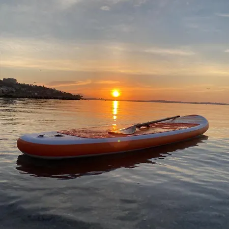 Del Mar Bord De Palm