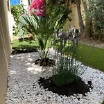 Del Mar Bord De Palm Apartman Cannes