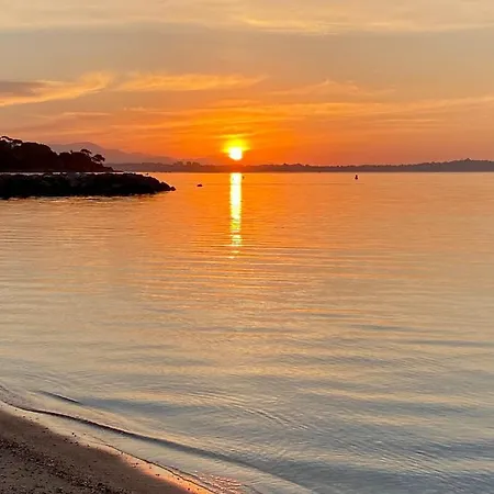 Daire Del Mar Bord De Palm Cannes