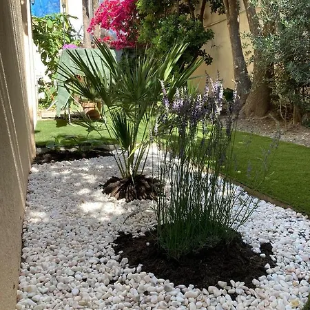 Del Mar Bord De Palm Daire Cannes