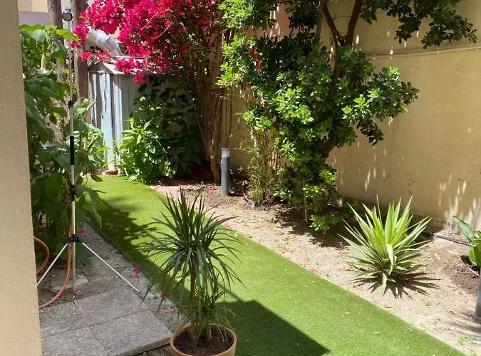 Del Mar Bord De Palm * Cannes