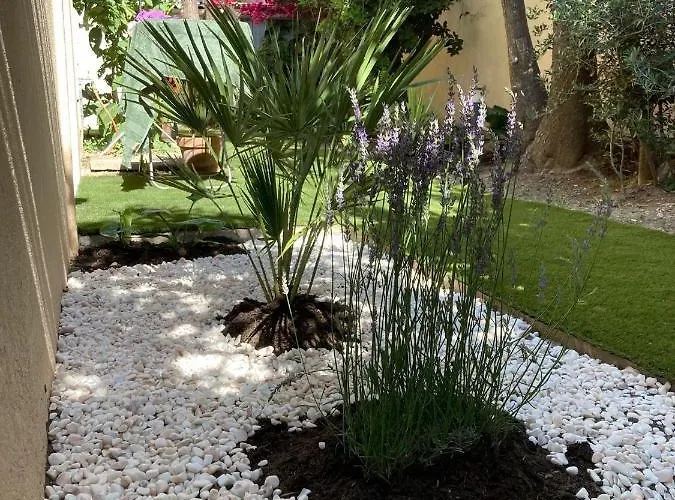 Del Mar Bord De Palm Appartamento Cannes