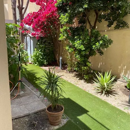 Del Mar Bord De Palm * カンヌ