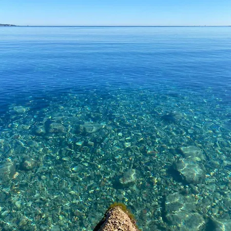 Del Mar Bord De Palm * カンヌ