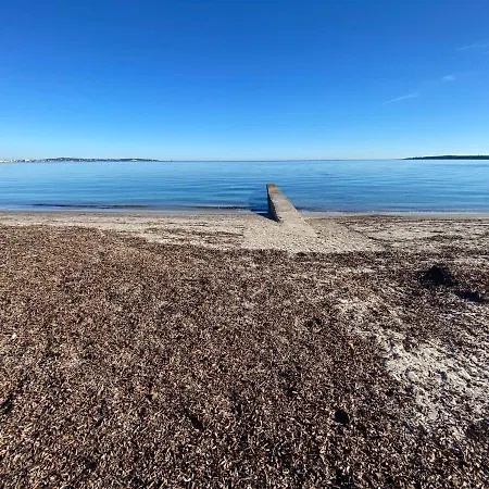 Del Mar Bord De Palm *